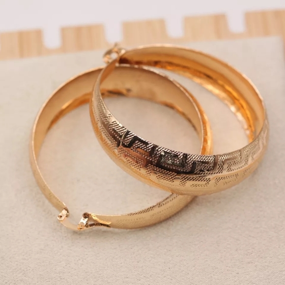 Trendy Round Hoop Earrings Gold Plated Copper Earrings - Picture 4 of 5